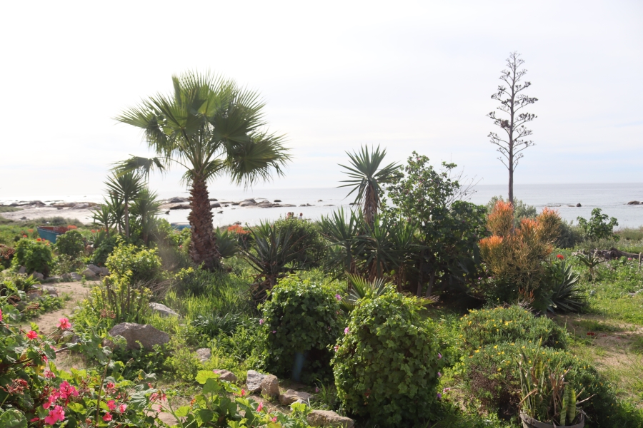 0 Bedroom Property for Sale in Steenbergs Cove Western Cape